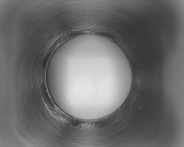 X0000086080690200703231050