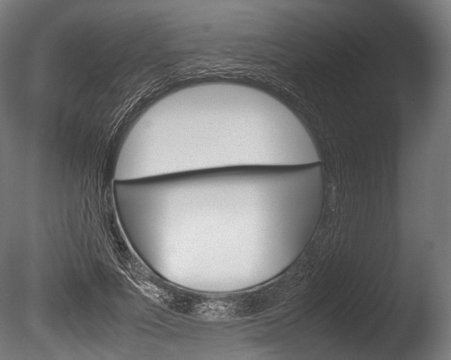 X0000086080691200703231050