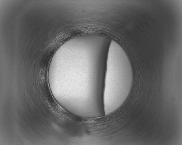 X0000086080695200703231050