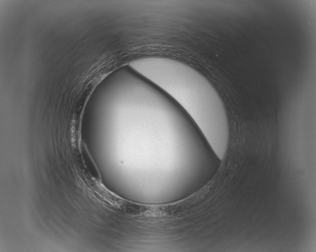 X0000086080696200703231050