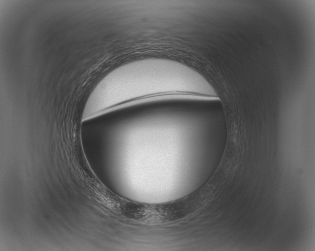 X0000086080697200703231050