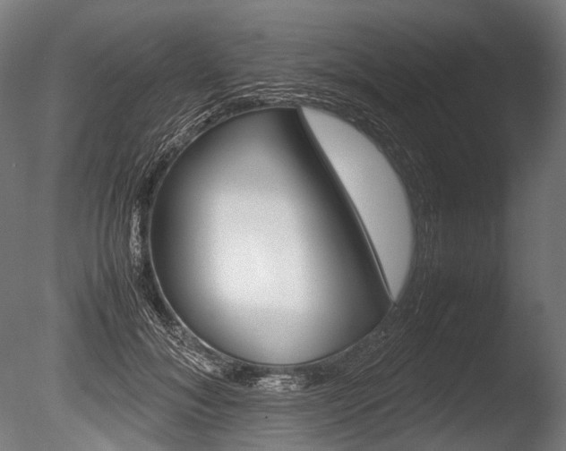 X0000086080700200703231050