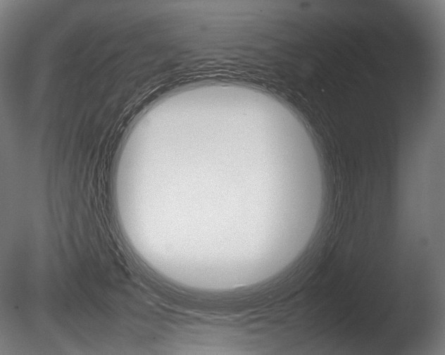 X0000086080705200703231050