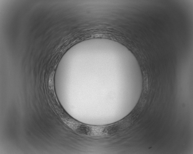 X0000086080709200703231050