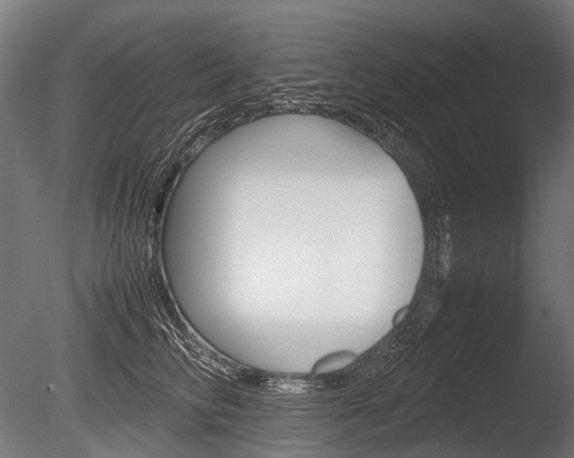 X0000086080710200703231050