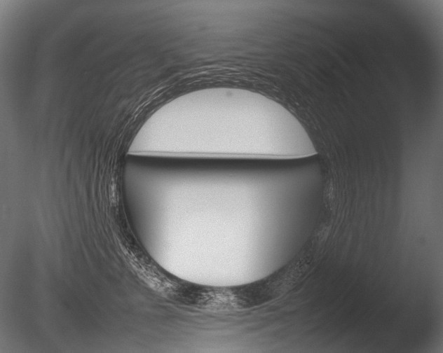 X0000086080715200703231050