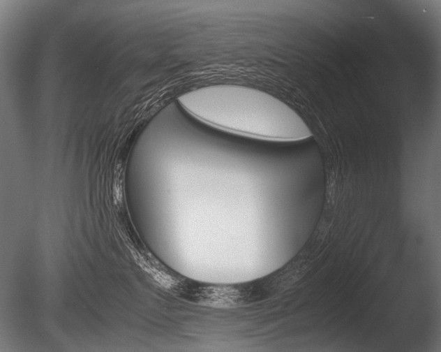 X0000086080719200703231049