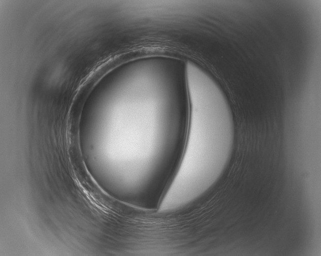 X0000086080722200703231049