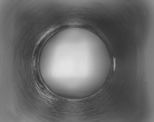 X0000086080723200703231049