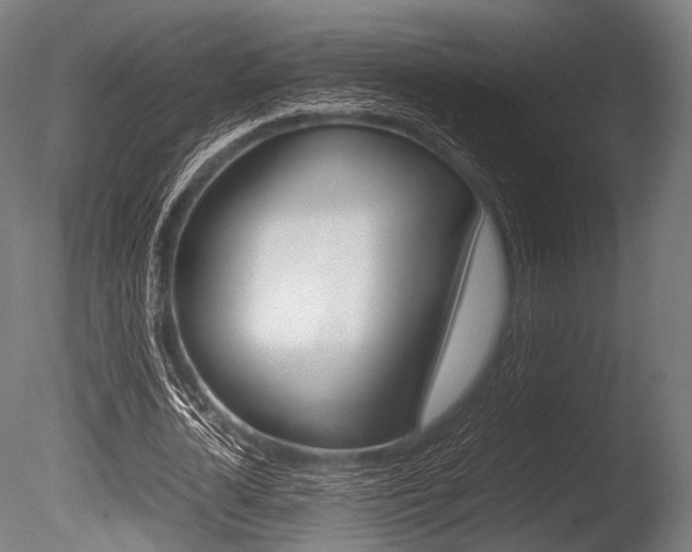 X0000086080724200703231049