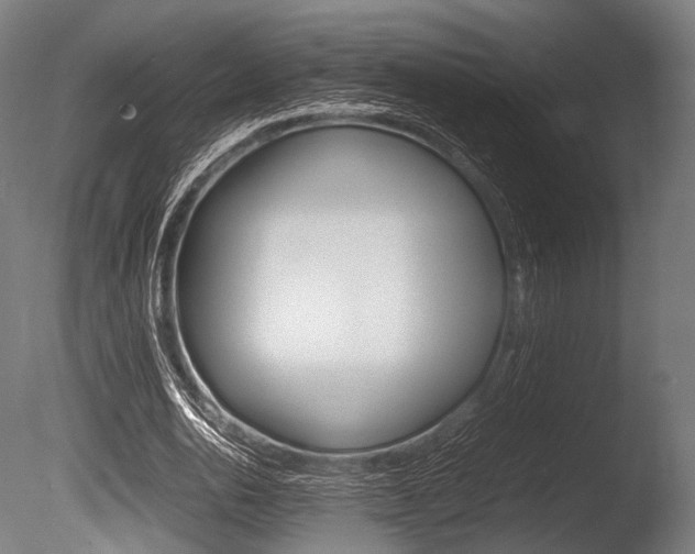 X0000086080726200703231049