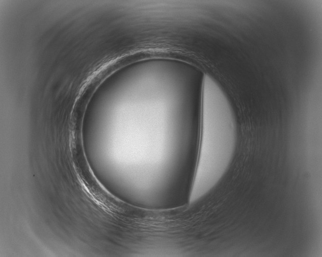 X0000086080728200703231049