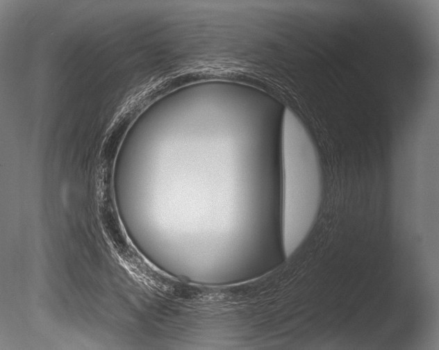 X0000086080736200703231049