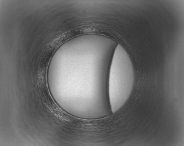 X0000086080737200703231049