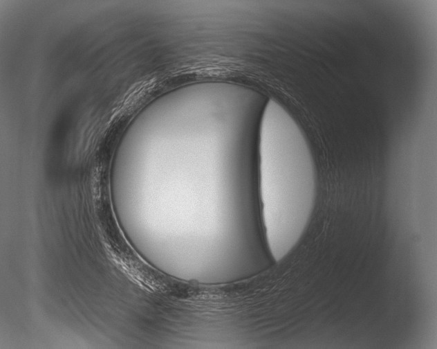X0000086080738200703231049