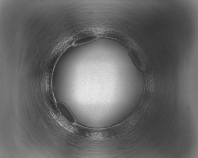 X0000086080740200703231049
