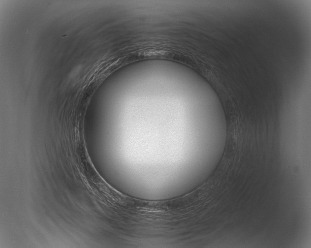 X0000086080743200703231049