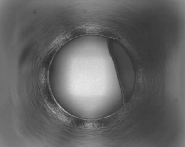 X0000086080744200703231049