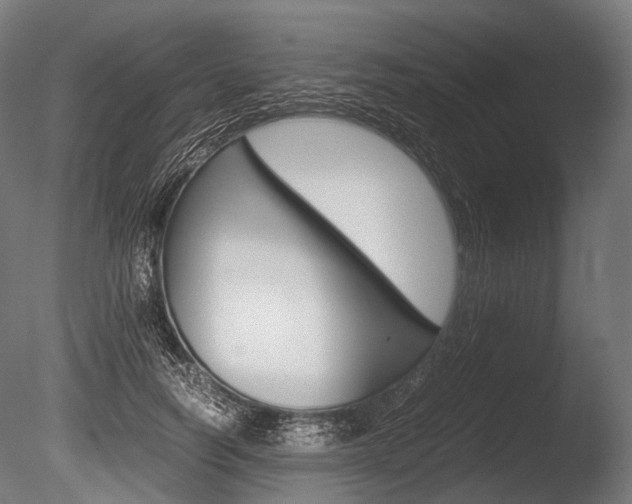X0000086080746200703231049
