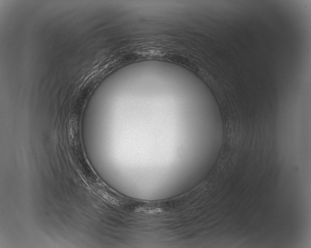 X0000086080747200703231049