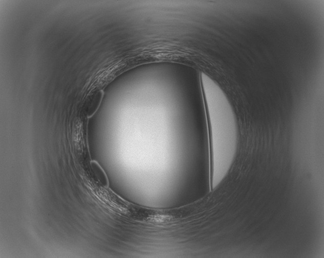 X0000086080748200703231049