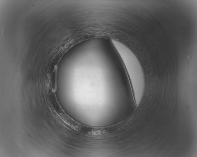 X0000086080752200703231049