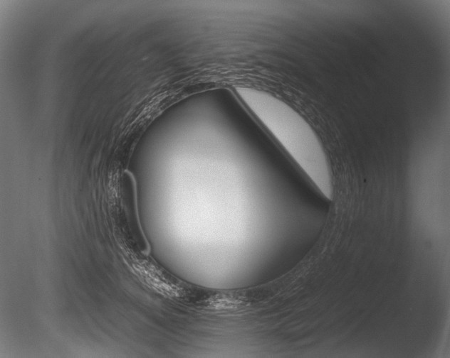 X0000086080756200703231049