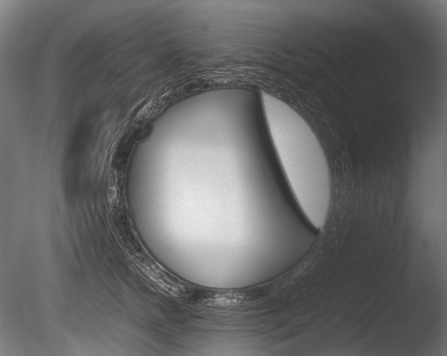 X0000086080758200703231049