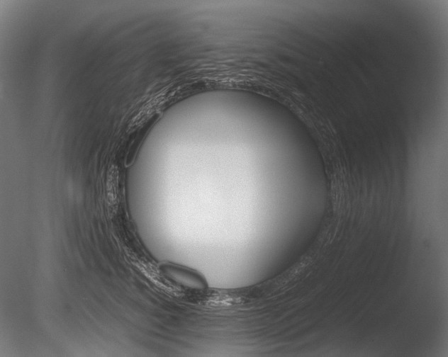X0000086080760200703231049