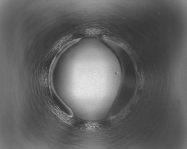 X0000086080762200703231049