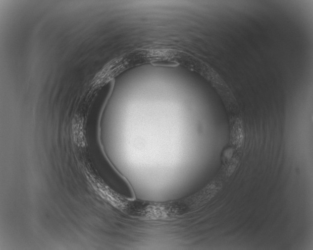 X0000086080764200703231049