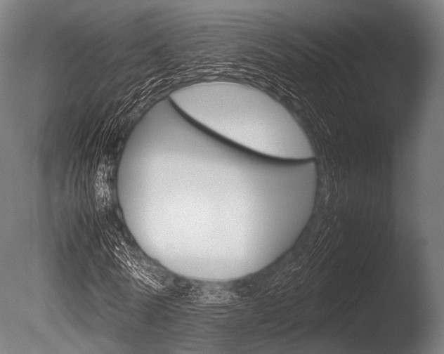 X0000086080770200703231049