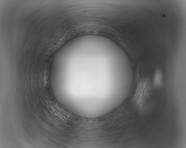 X0000086080772200703231049