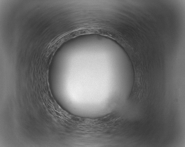 X0000086080773200703231049