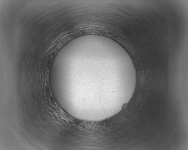 X0000086080774200703231049