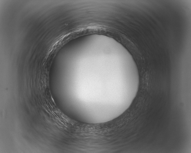 X0000086080776200703231048