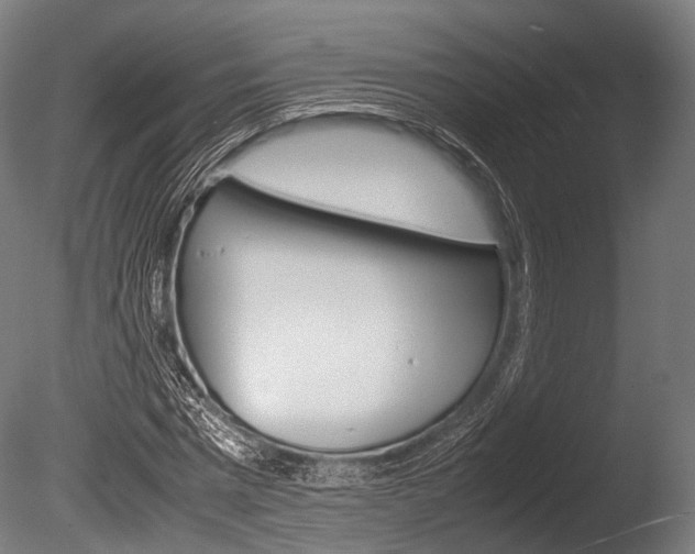 X0000086080777200703231048