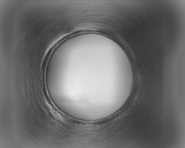 X0000086080779200703231048