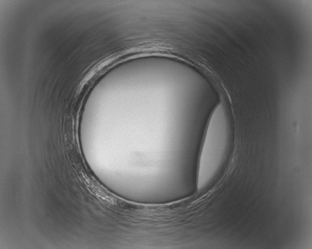 X0000086080781200703231048
