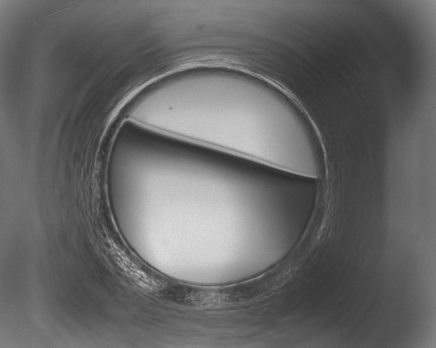 X0000086080783200703231048