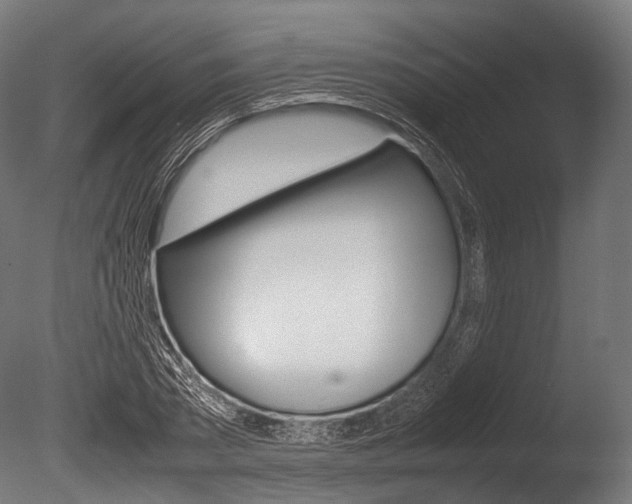 X0000086080785200703231048