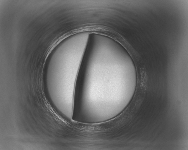 X0000086080786200703231048