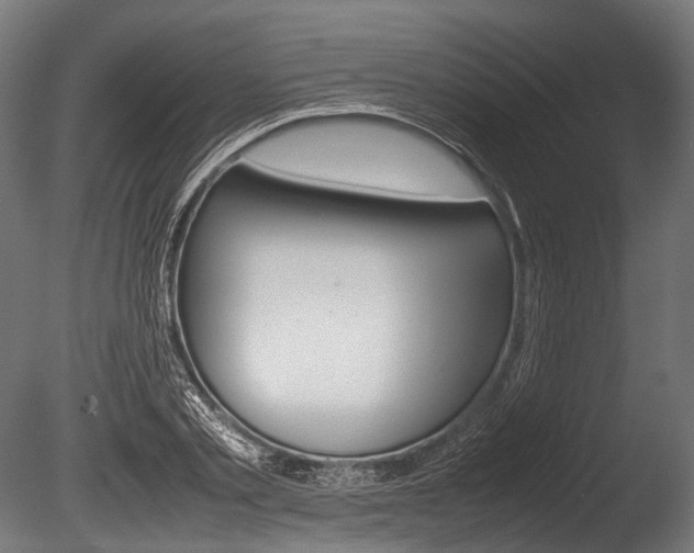 X0000086080789200703231048