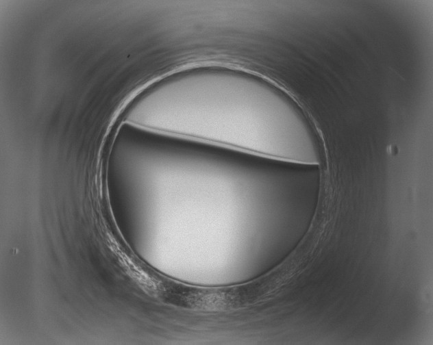 X0000086080791200703231048