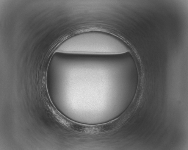 X0000086080793200703231048
