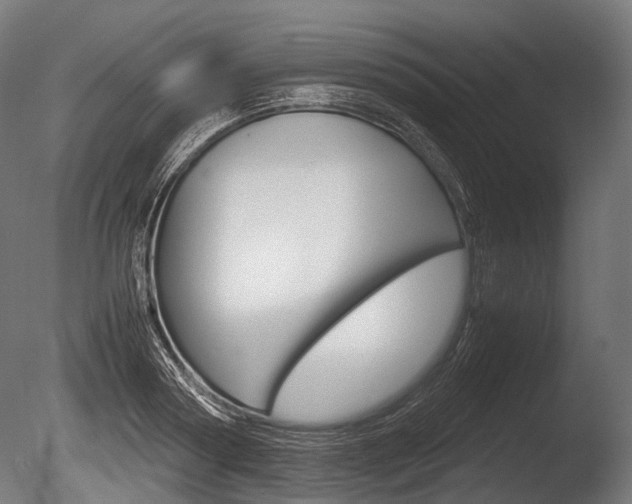 X0000086080794200703231048
