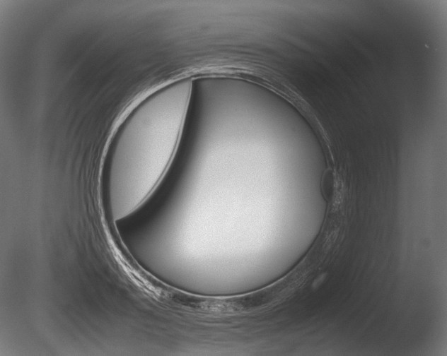 X0000086080795200703231048