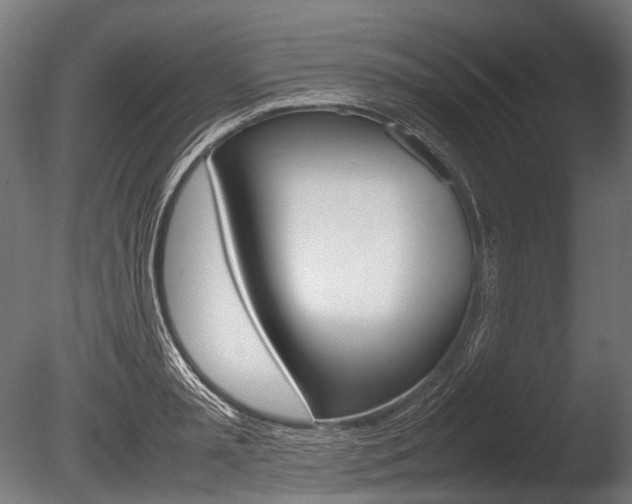 X0000086080797200703231048