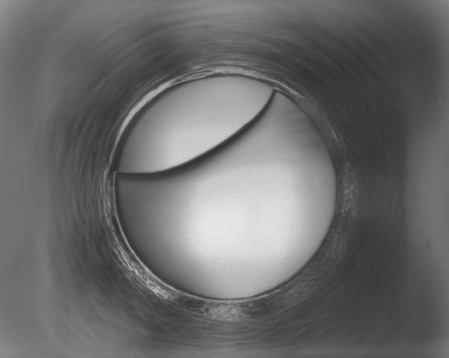 X0000086080798200703231048