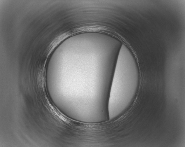 X0000086080802200703231048